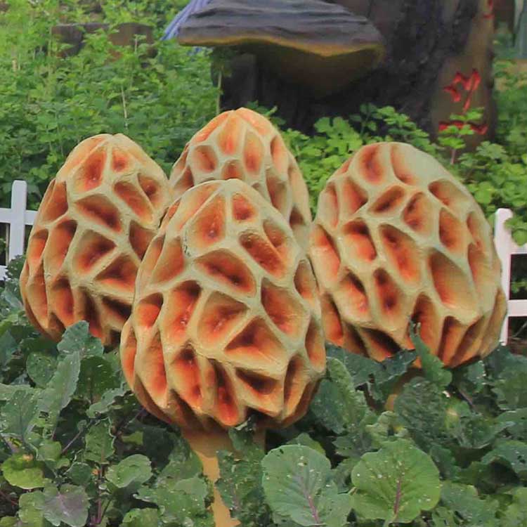 ���������rԓ����x�������